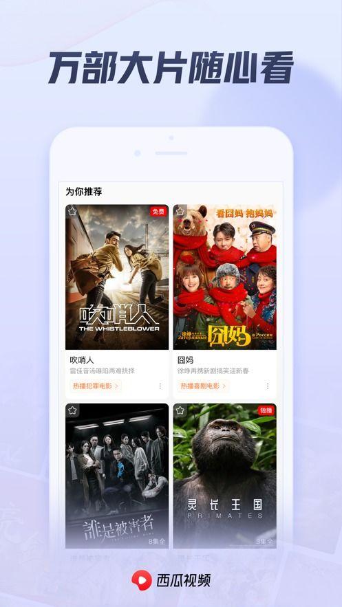 娱乐吃瓜酱飞鱼视频下载,娱乐吃瓜酱带你轻松获取热门娱乐内容