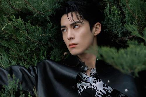 王鹤棣娱乐大爆料吃大瓜,独家爆料娱乐圈幕后真相